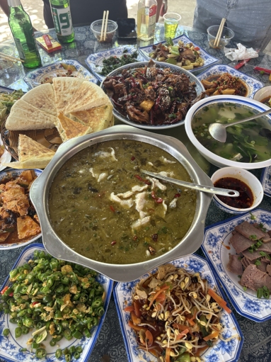 鱼泡网