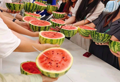 鱼泡网