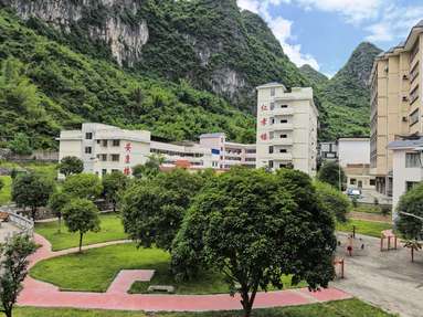 鱼泡网