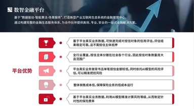 鱼泡网