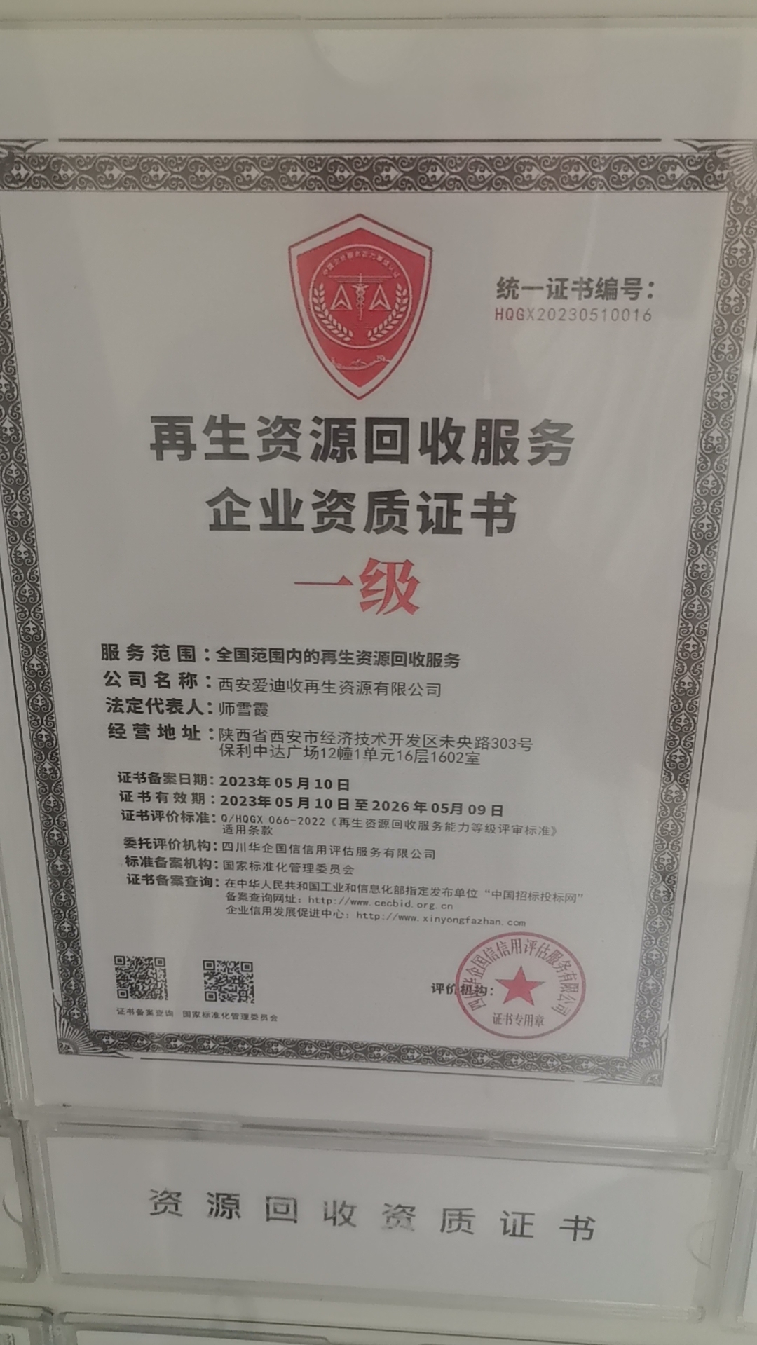 鱼泡网