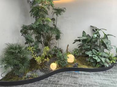 魚泡網