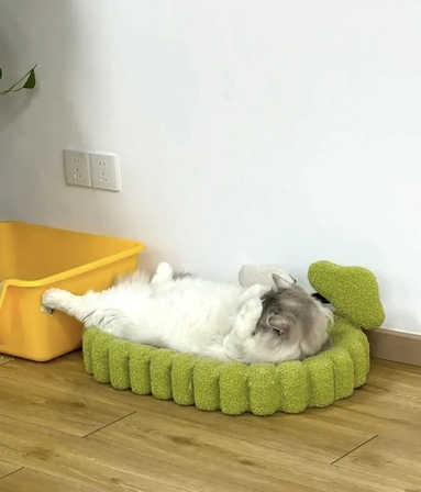 魚泡網