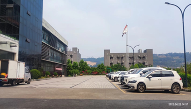 鱼泡网