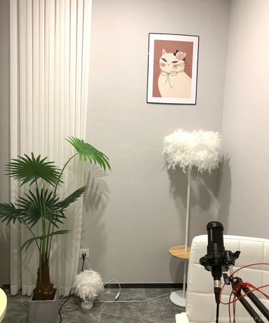 鱼泡网