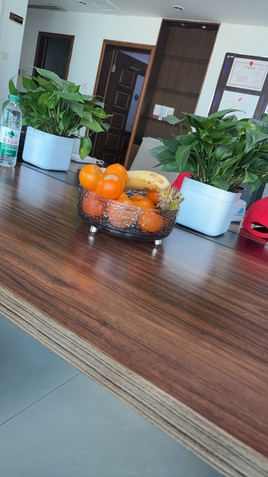 鱼泡网