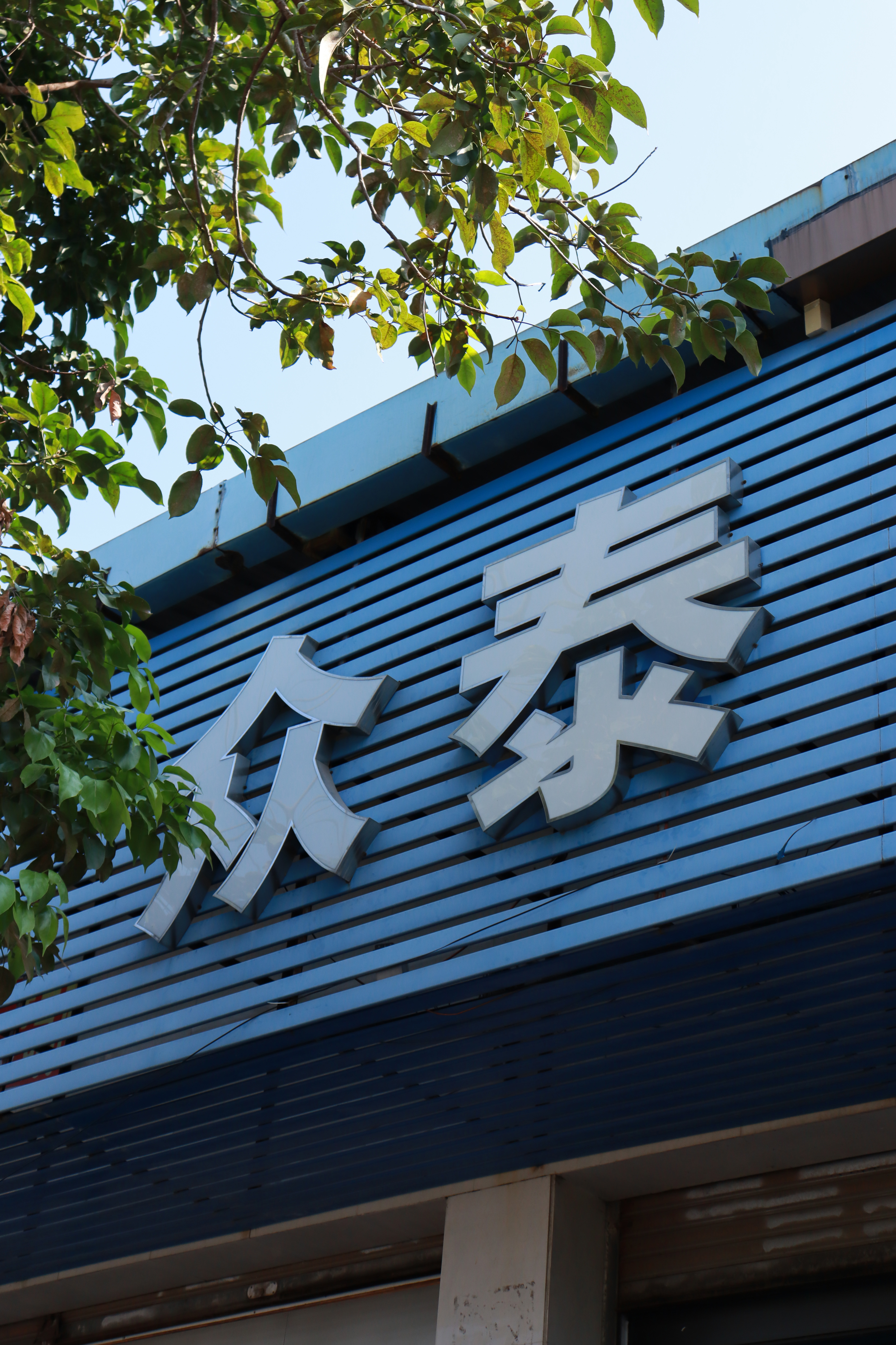 鱼泡网