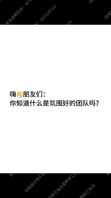 团队