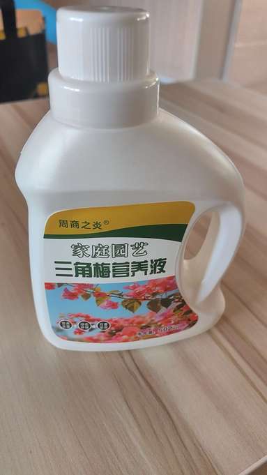 鱼泡网