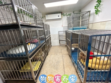 魚泡網(wǎng)