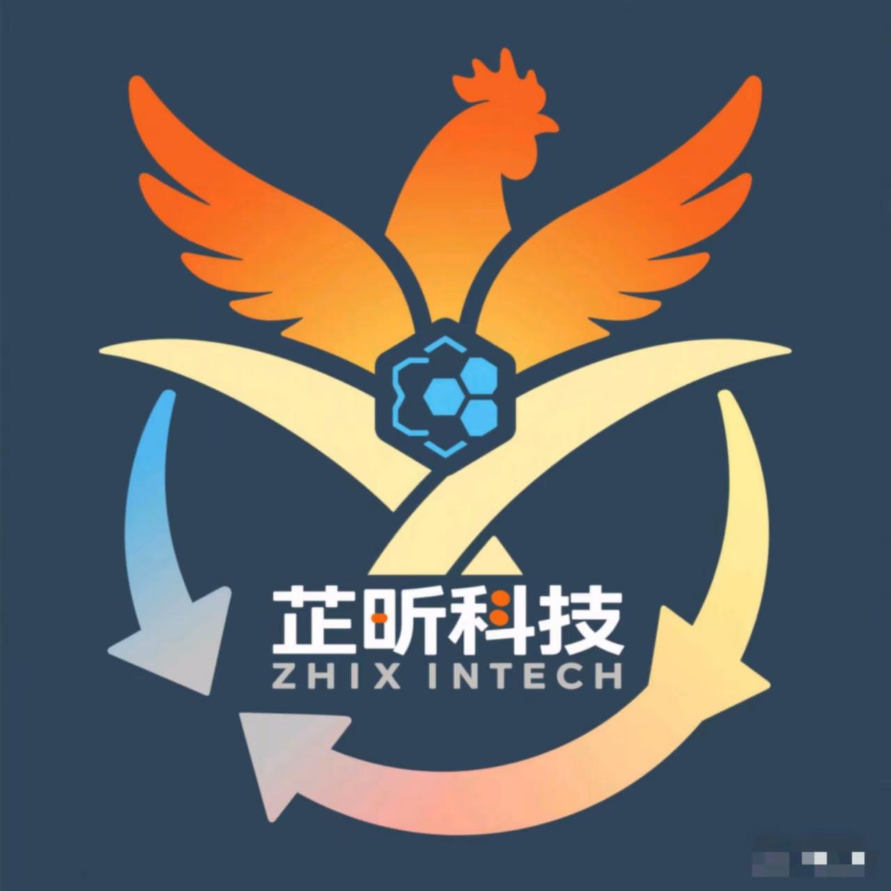 魚泡網(wǎng)