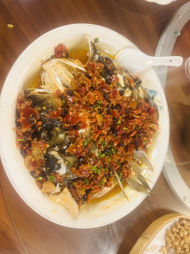 鱼泡网