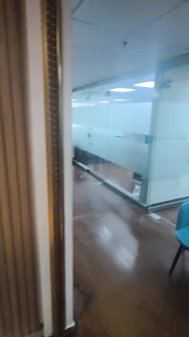鱼泡网