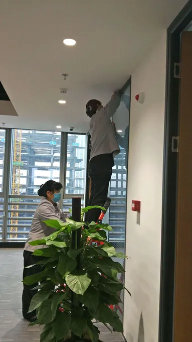 鱼泡网