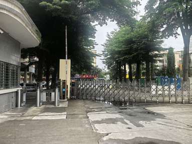 鱼泡网