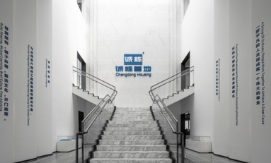 鱼泡网