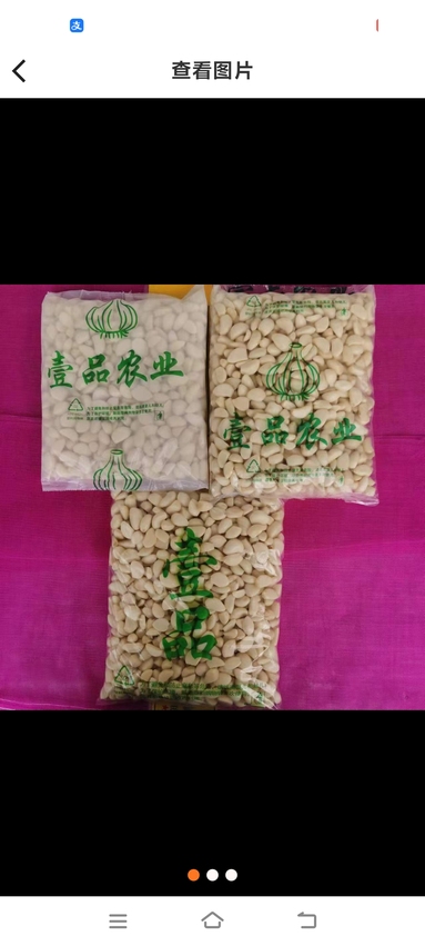魚泡網