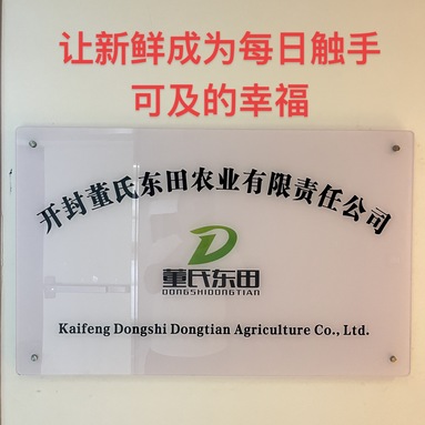 魚泡網