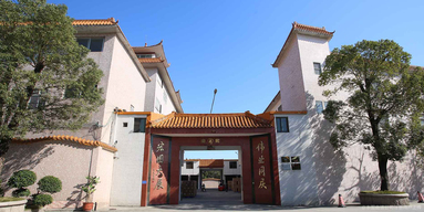鱼泡网