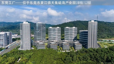 鱼泡网