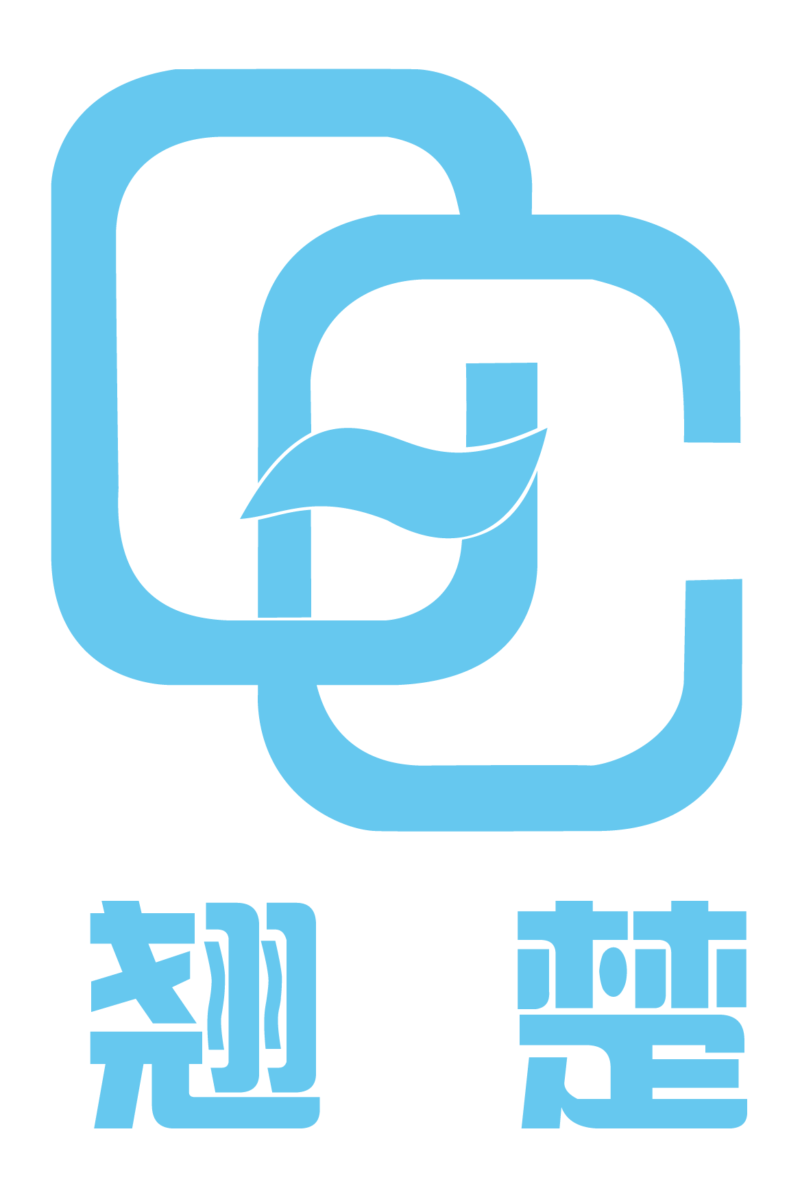 魚泡網(wǎng)