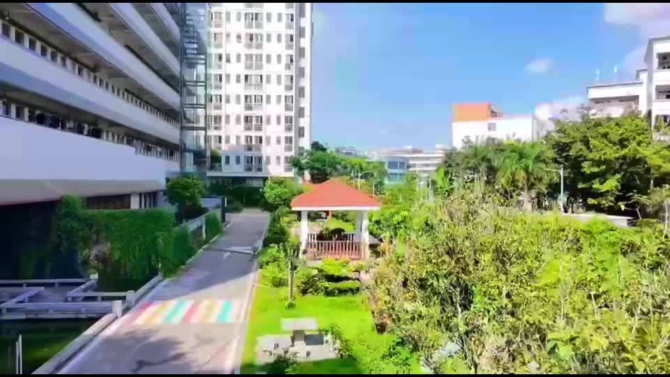 鱼泡网