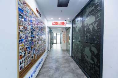 鱼泡网