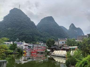 鱼泡网