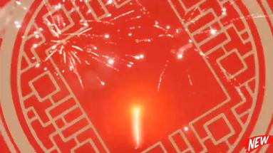 魚泡網