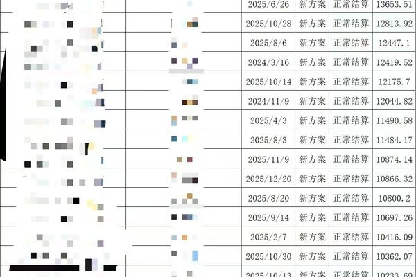 鱼泡网