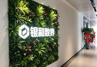 鱼泡网