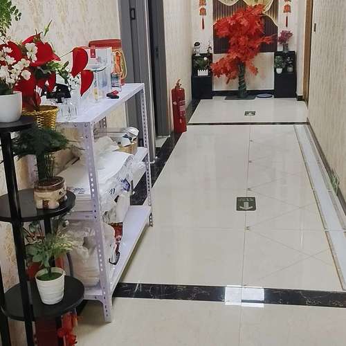 鱼泡网
