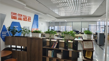 魚泡網(wǎng)