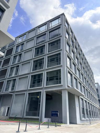鱼泡网