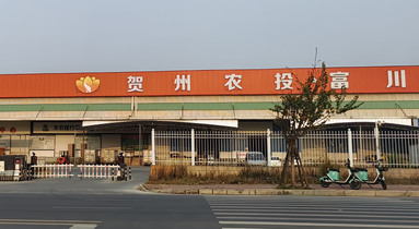 魚泡網