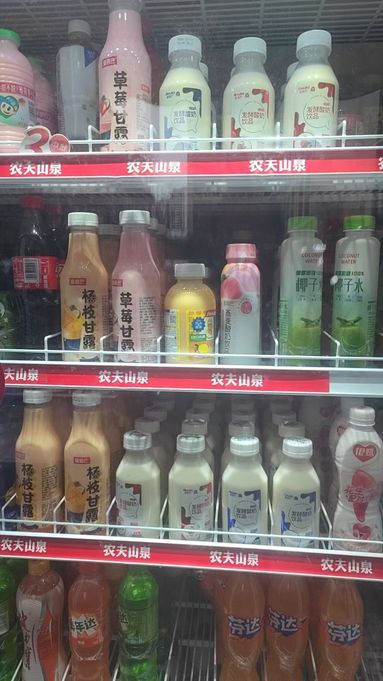 鱼泡网