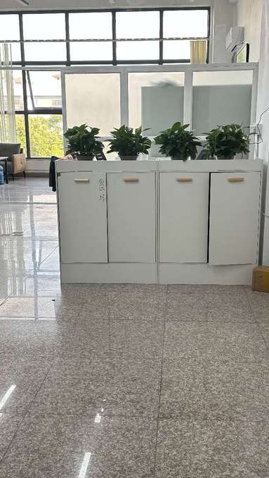魚泡網