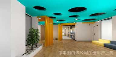 鱼泡网