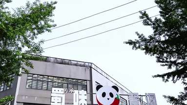 魚泡網