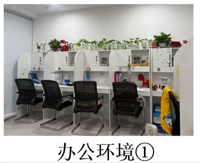 鱼泡网