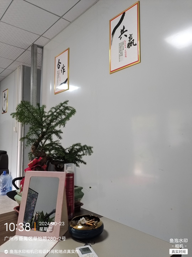 魚泡網(wǎng)