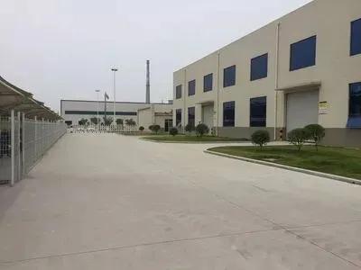 鱼泡网