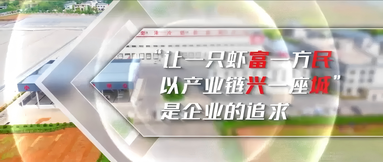 鱼泡网