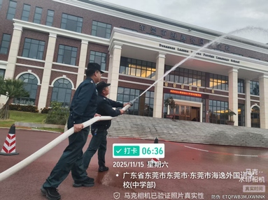 鱼泡网