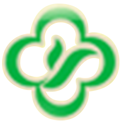 魚(yú)泡網(wǎng)