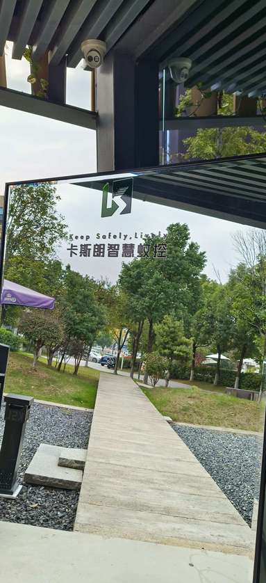 鱼泡网