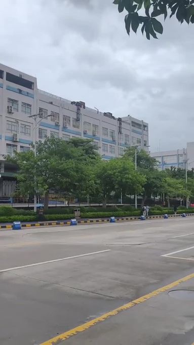 鱼泡网