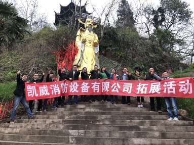 鱼泡网