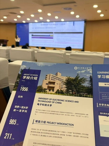 鱼泡网