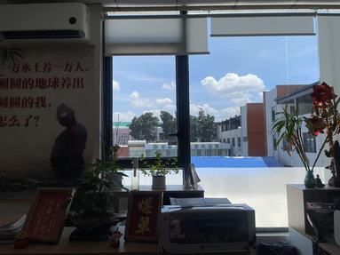 魚泡網(wǎng)